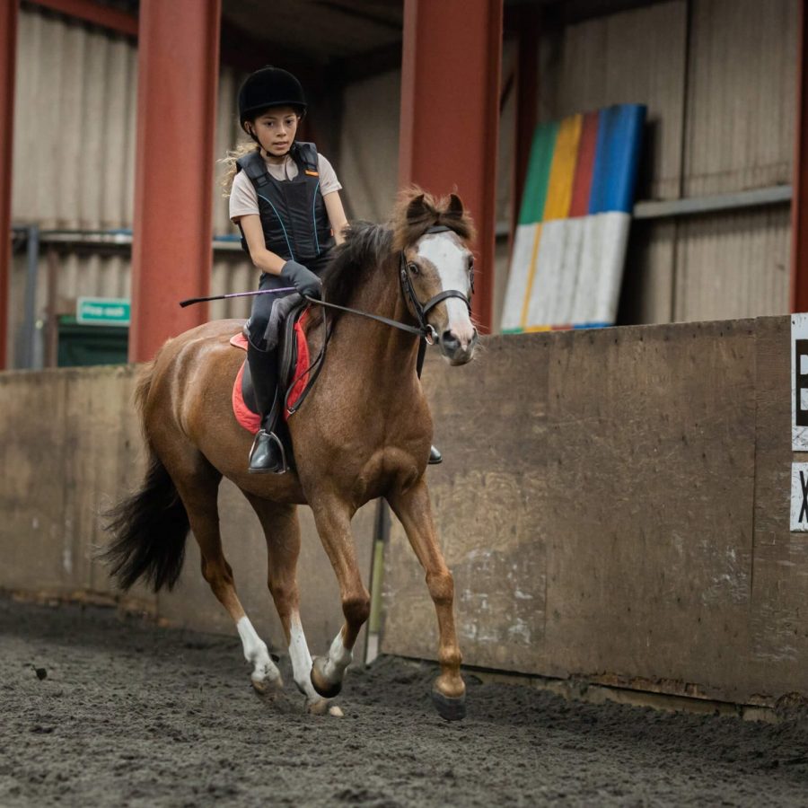 Complete Equestrian Experience