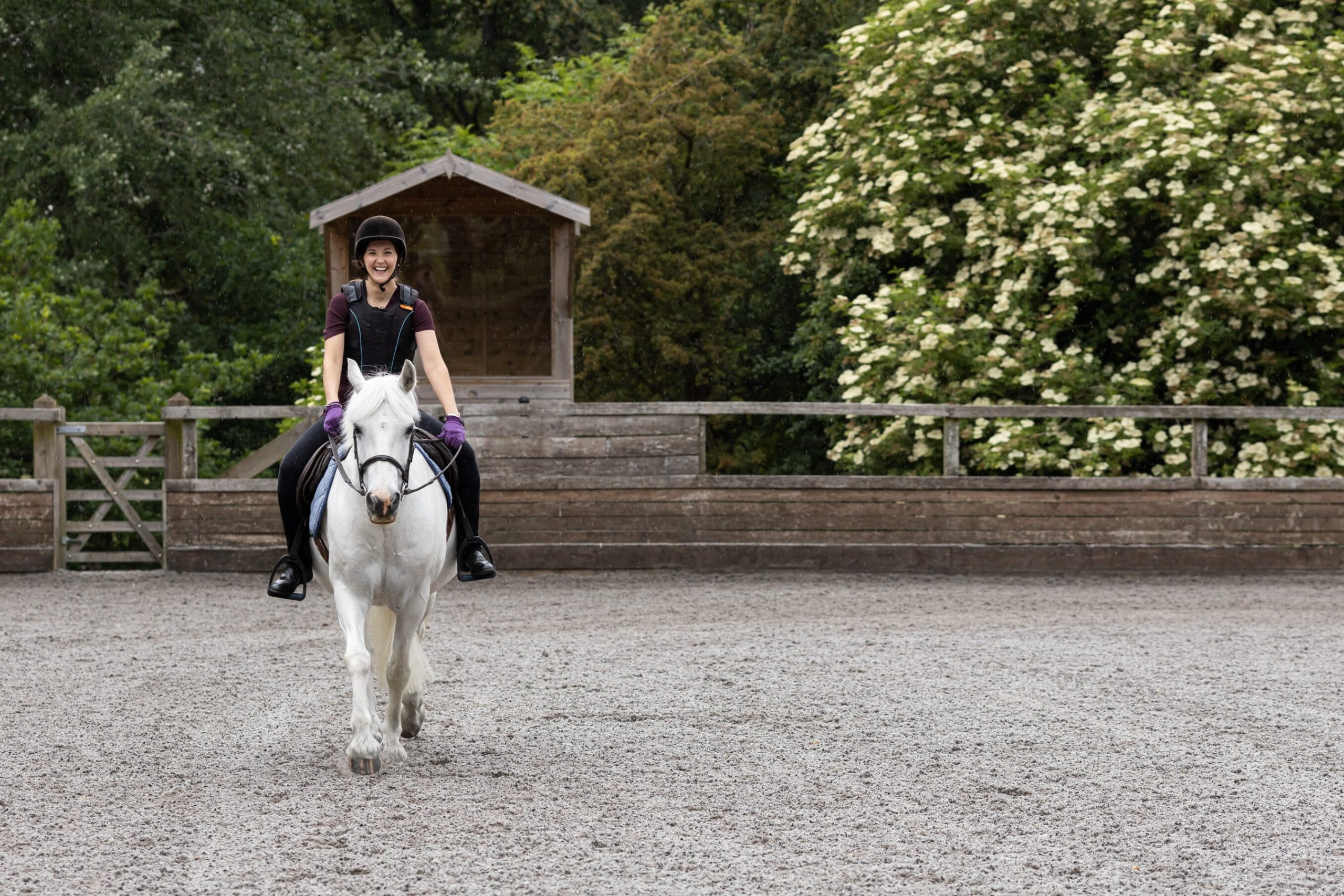 Well-Rounded Rider