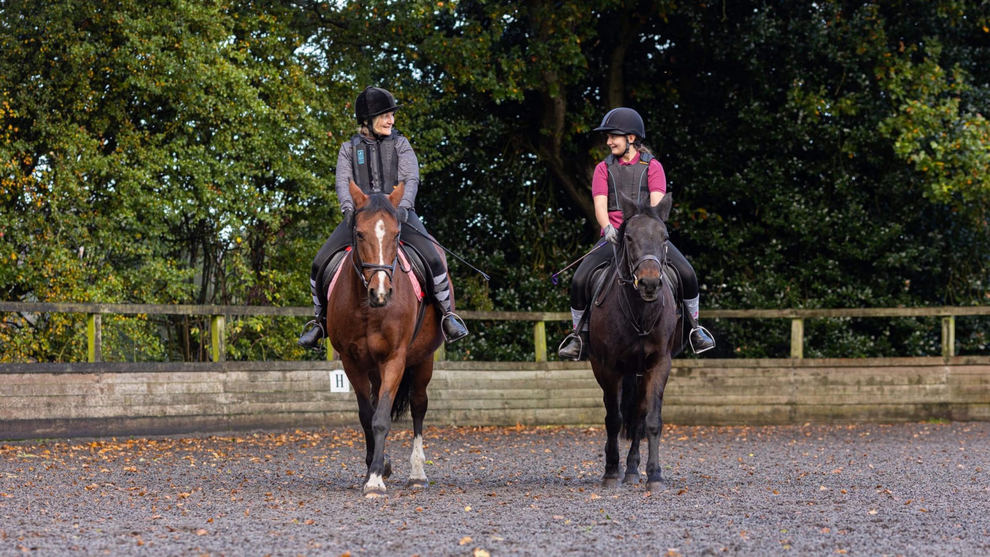 Bournevale Stables