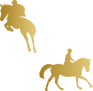 Bournevale Stables