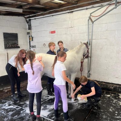Pony Club