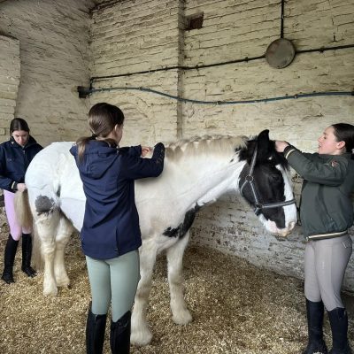 Pony Club