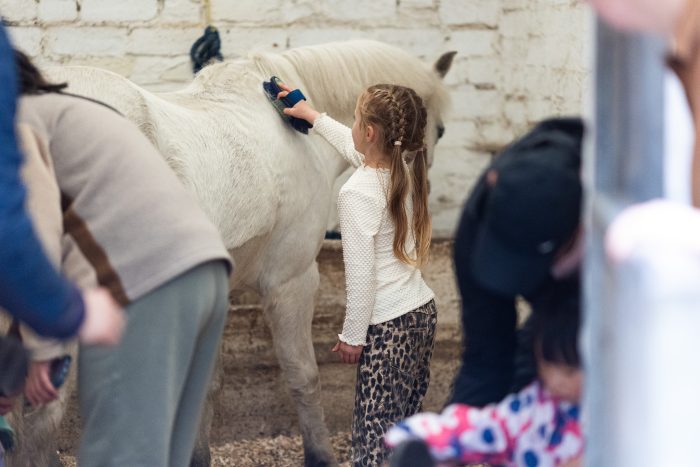 A Child grooming a pony at a Bourne Vale Stables riding school open day near Birmingham.